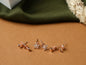 Flower Piercing Rose gold Top Set (Di18)